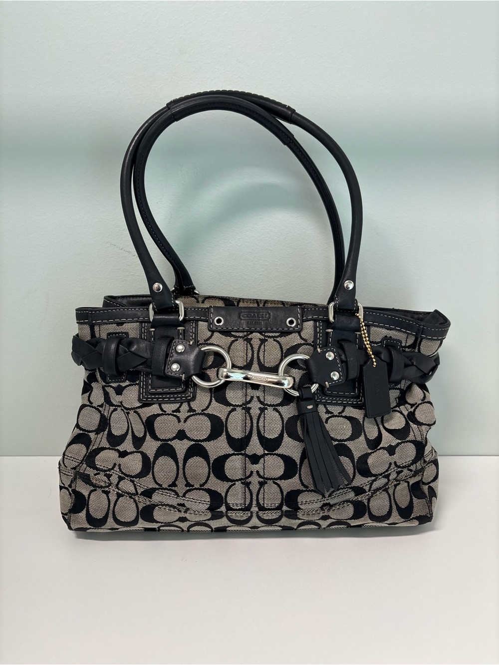 Coach F15665 Hamptons Signature Carryall Tote
